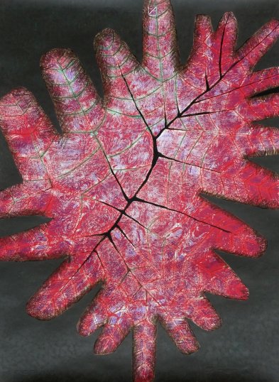 Formy biologiczne -G-1