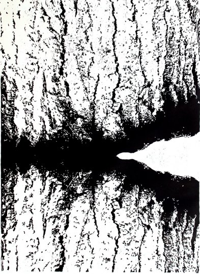 Struktury z natury -2